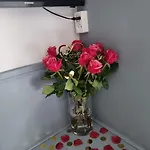 杜普伊斯酒店 酒店 法尔肯堡